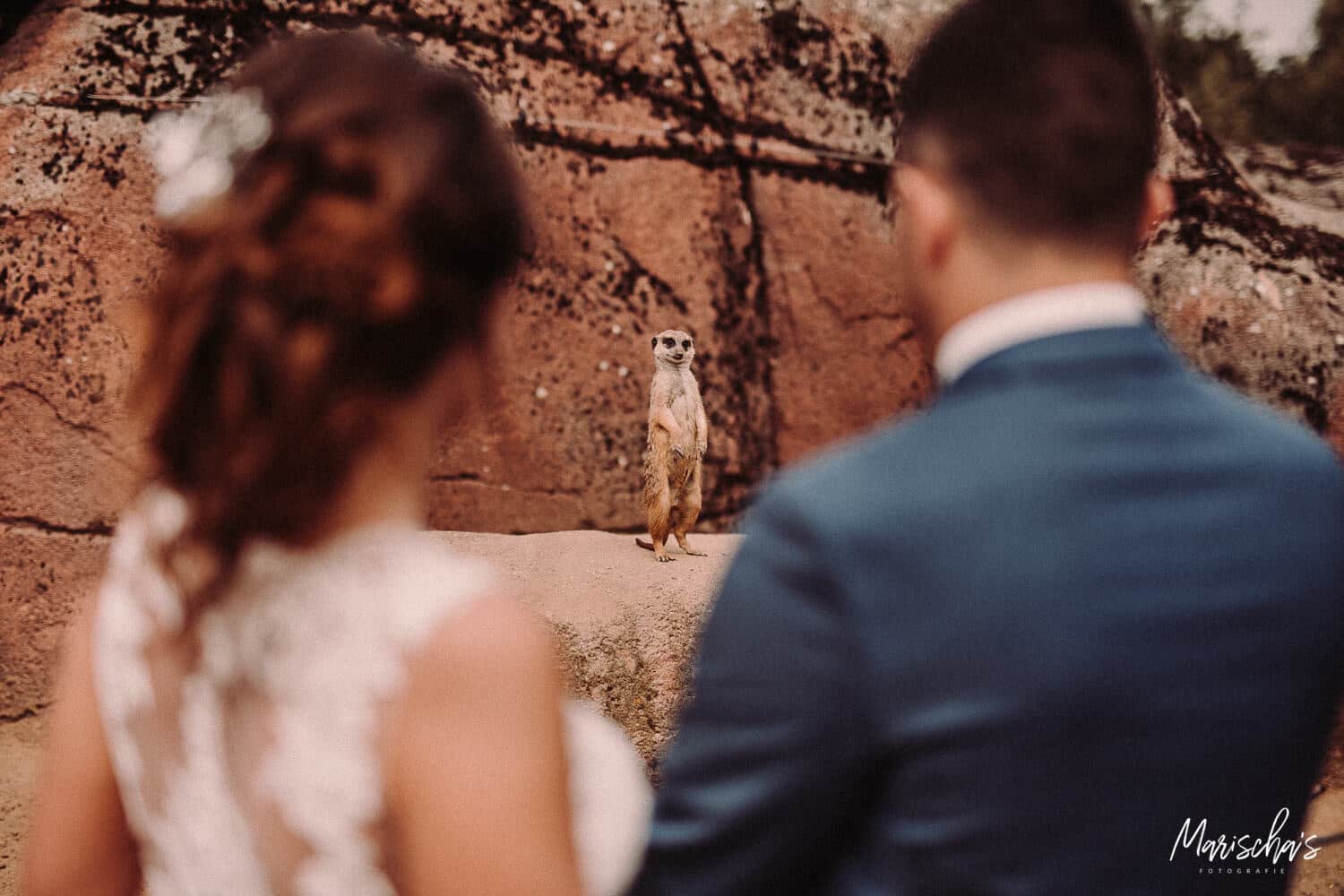 bruidsfotograaf voor een bruidsreportage in het gaiazoo in kerkrade