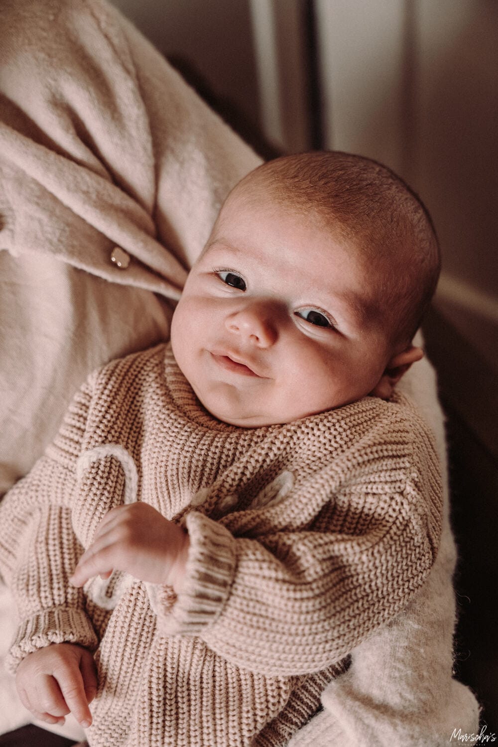 newborn fotograaf heuvelland limburg