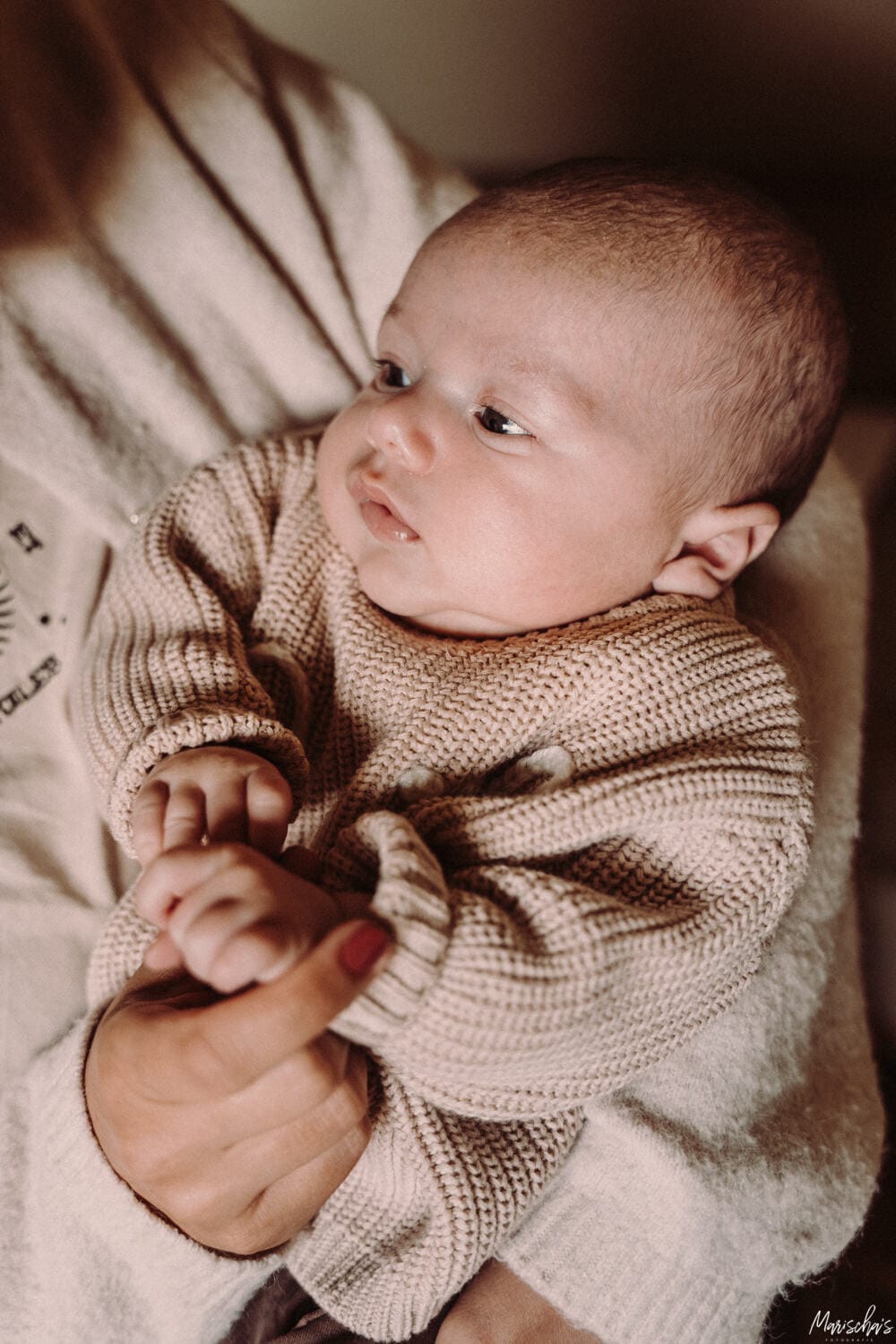 newborn fotograaf heuvelland limburg